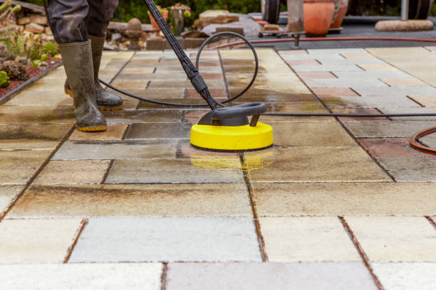 Best Solar Panel Cleaning  in Oran, MO